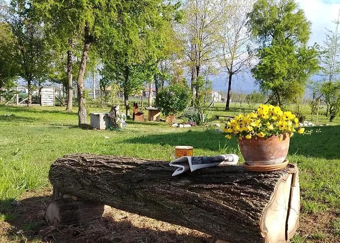 Belelì Daramba Cuneo