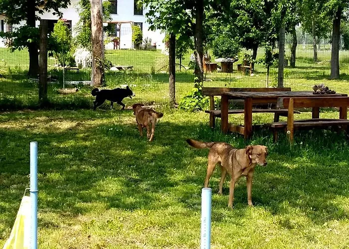 Beleli Daramba كونيو